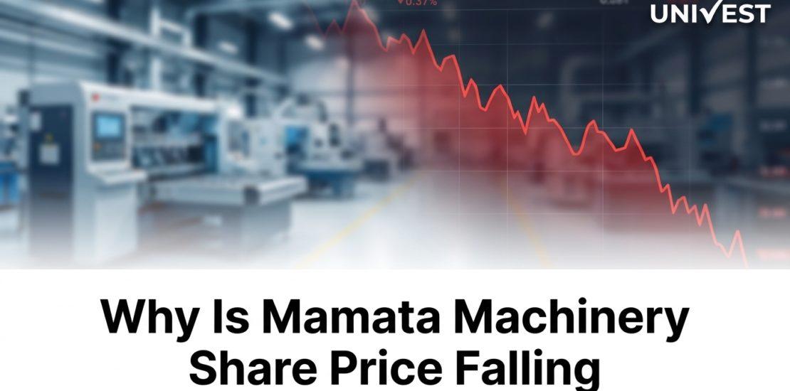 Why Is Mamata Machinery Share Price Falling