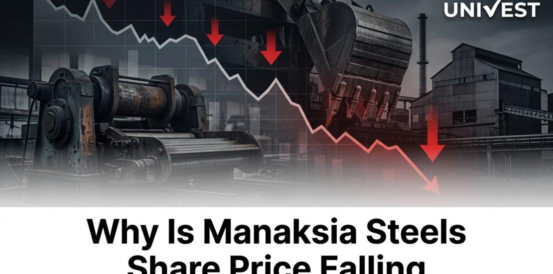 Why Is Manaksia Steels Share Price Falling