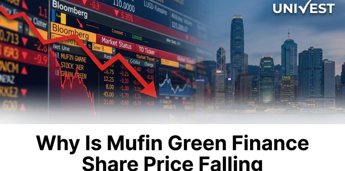 Why Is Mufin Green Finance Share Price Falling