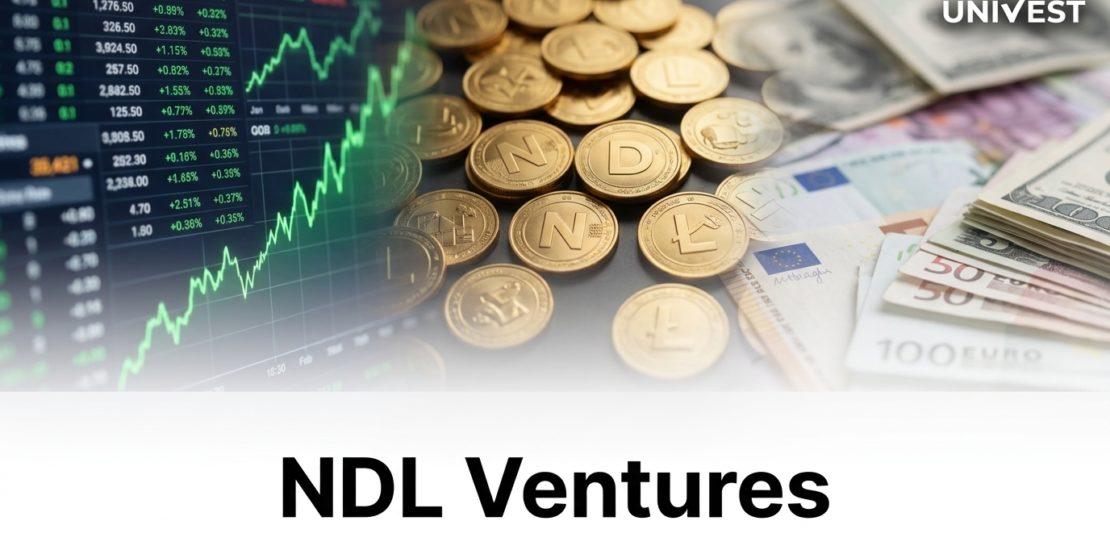 Why Is NDL Ventures Share Price Falling