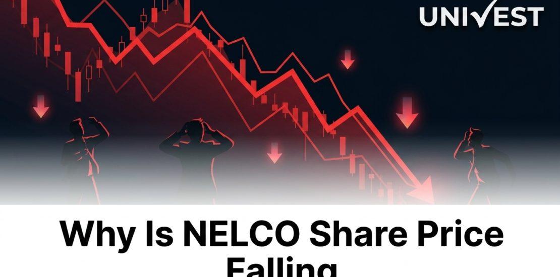 Why Is NELCO Share Price Falling