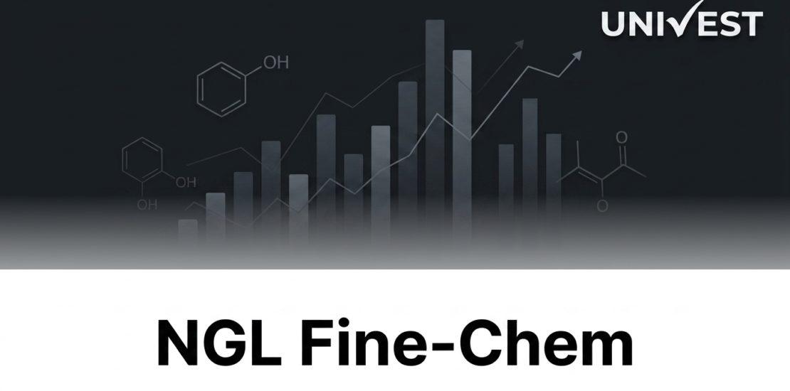 Why Is NGL Fine-Chem Share Price Falling Key Reasons 2026