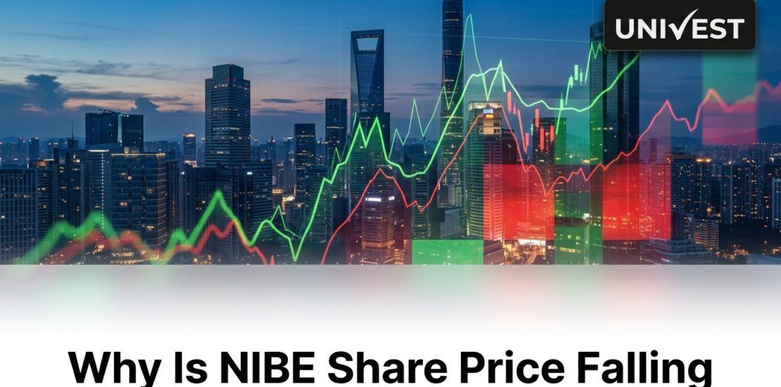 Why Is NIBE Share Price Falling