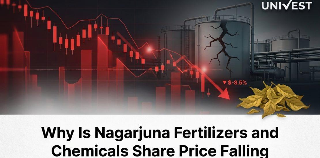 Why Is Nagarjuna Fertilizers and Chemicals Share Price Falling