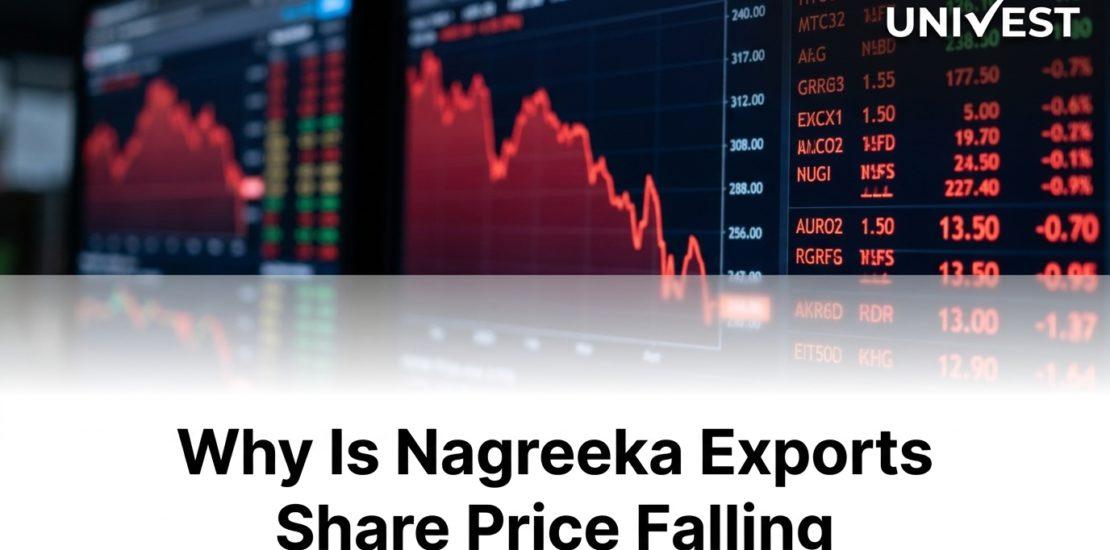 Why Is Nagreeka Exports Share Price Falling