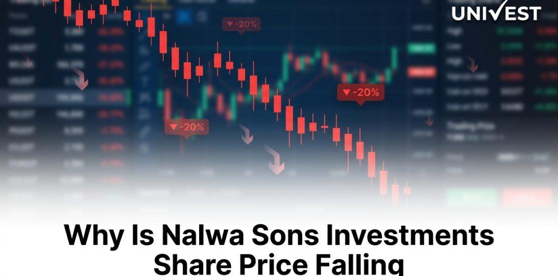 Why Is Nalwa Sons Investments Share Price Falling