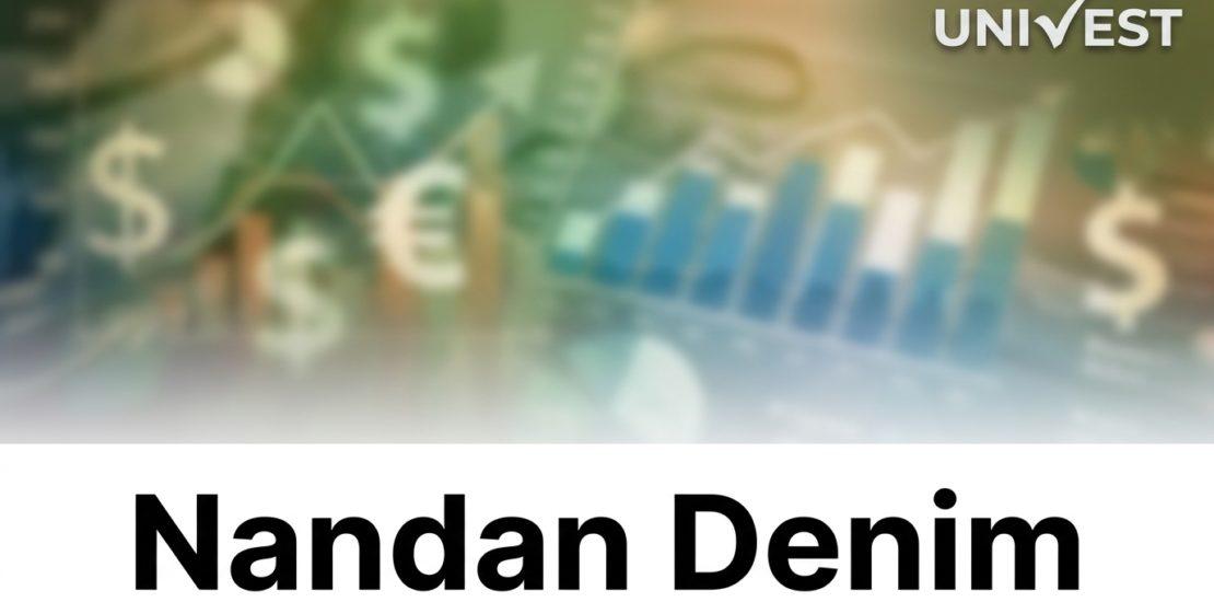 Why Is Nandan Denim Share Price Falling Key Reasons 2026