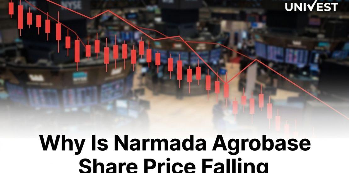 Why Is Narmada Agrobase Share Price Falling