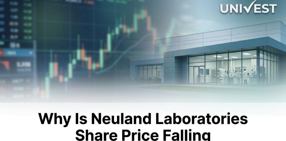 Why Is Neuland Laboratories Share Price Falling