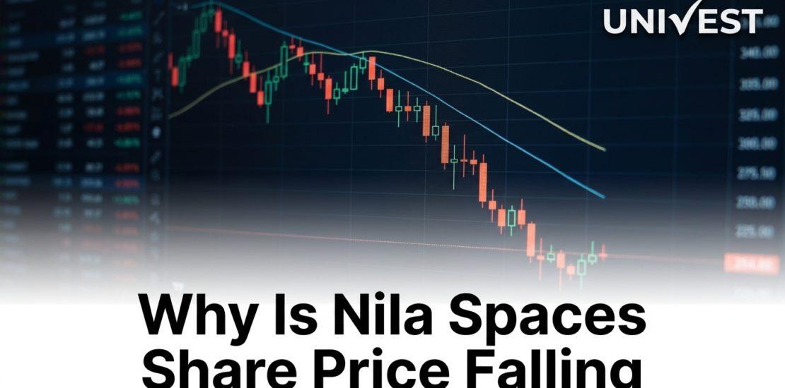 Why Is Nila Spaces Share Price Falling