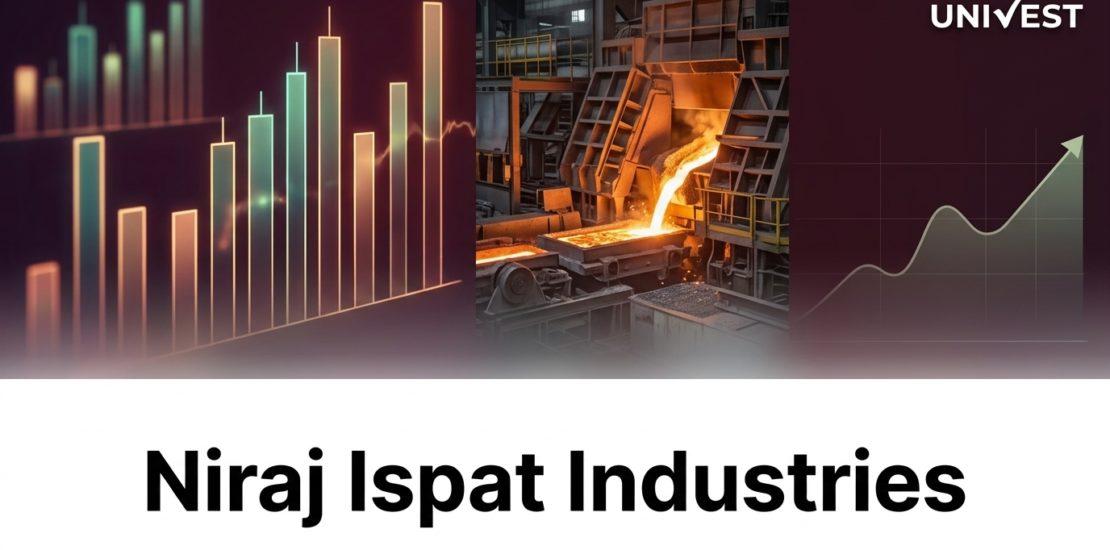 Why Is Niraj Ispat Industries Share Price Falling