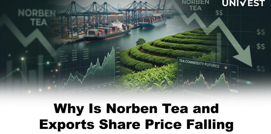 Why Is Norben Tea and Exports Share Price Falling