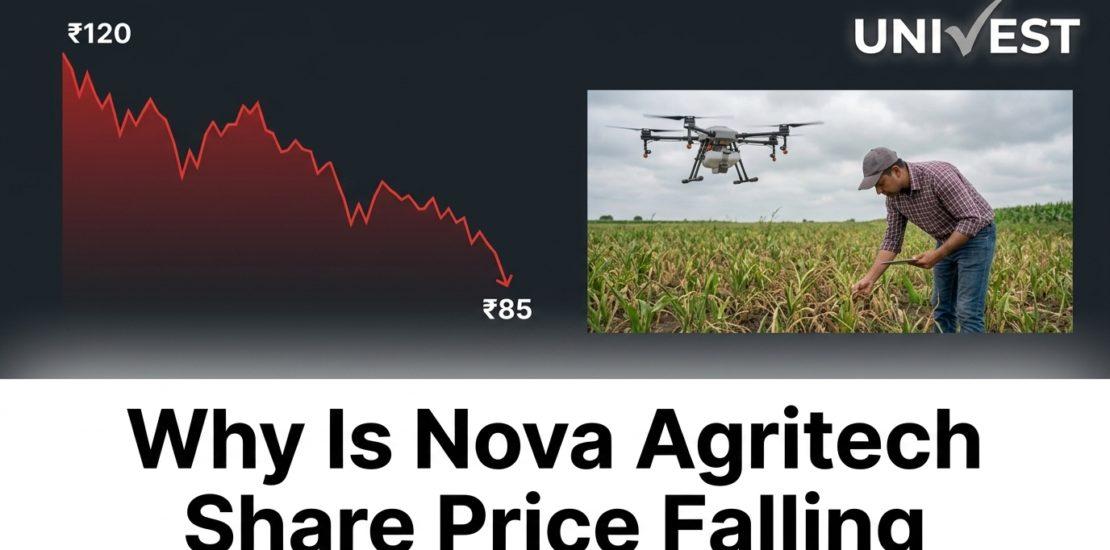 Why Is Nova Agritech Share Price Falling