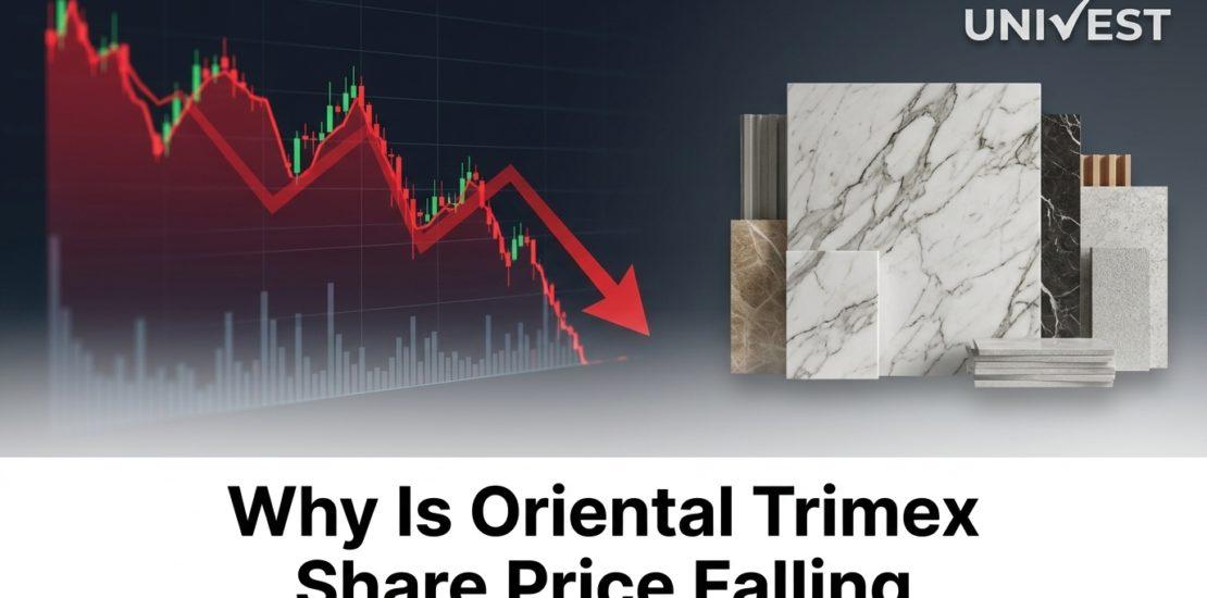 Why Is Oriental Trimex Share Price Falling