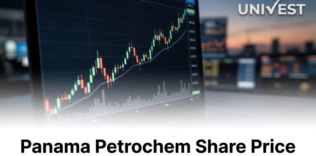 Why Is Panama Petrochem Share Price Falling