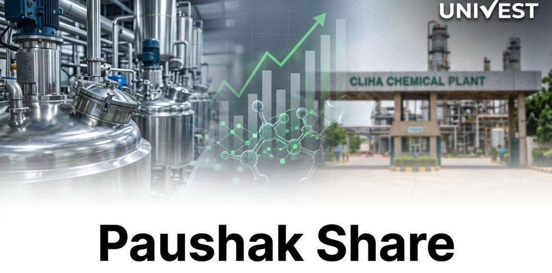 Why Is Paushak Share Price Falling