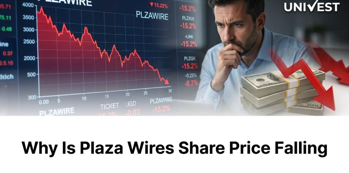 Why Is Plaza Wires Share Price Falling