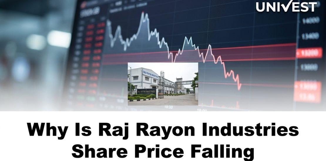 Why Is Raj Rayon Industries Share Price Falling