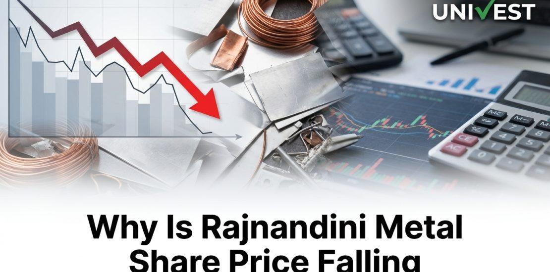 Why Is Rajnandini Metal Share Price Falling