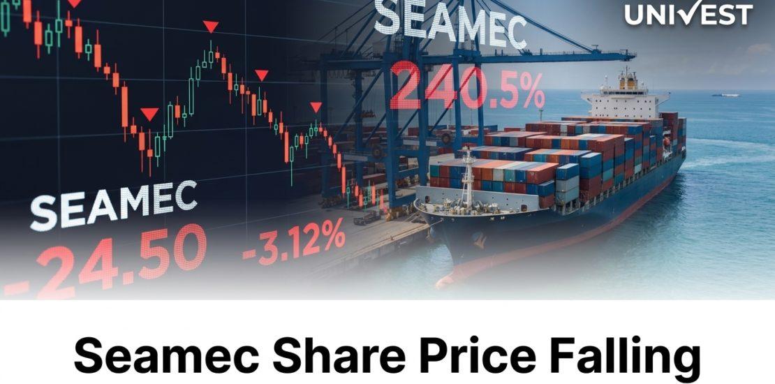 Why Is Seamec Share Price Falling