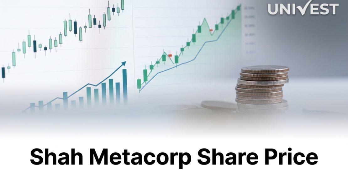 Why Is Shah Metacorp Share Price Falling