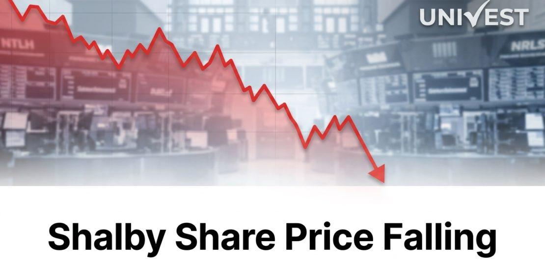 Why Is Shalby Share Price Falling
