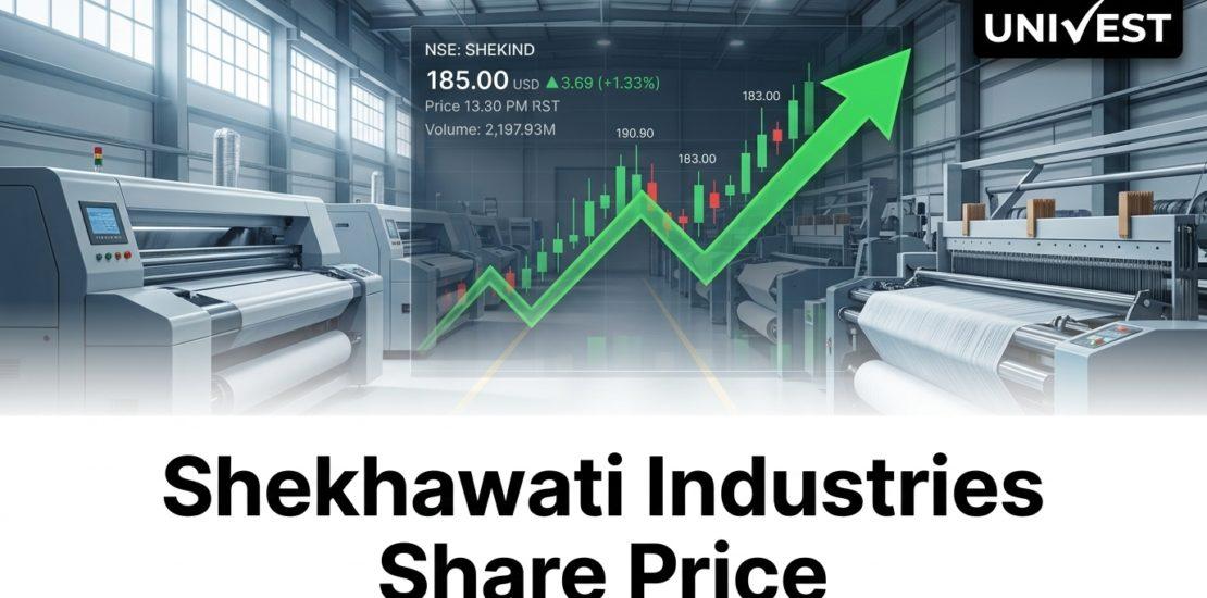 Why Is Shekhawati Industries Share Price Falling