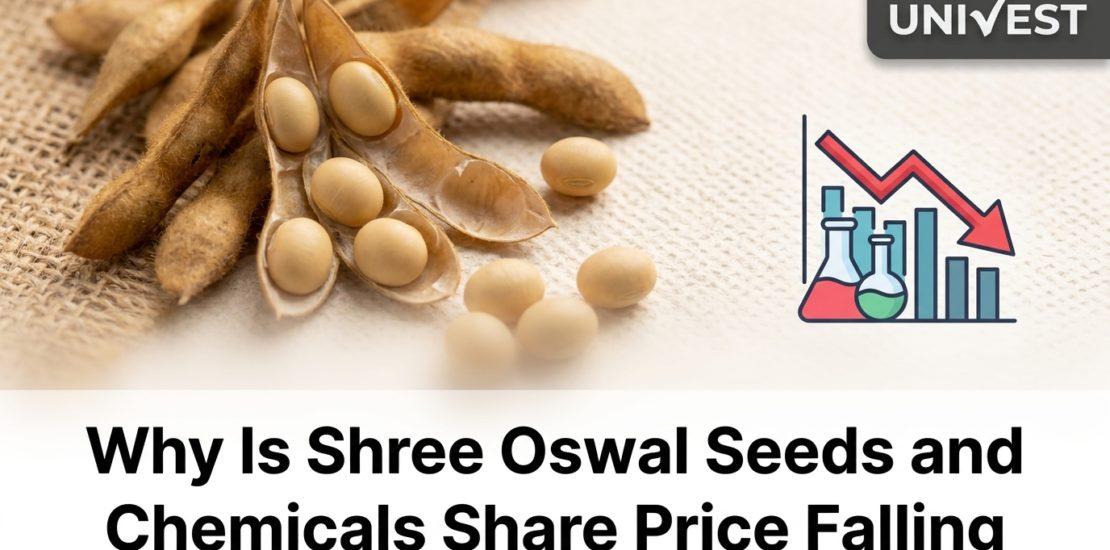 Why Is Shree Oswal Seeds and Chemicals Share Price Falling