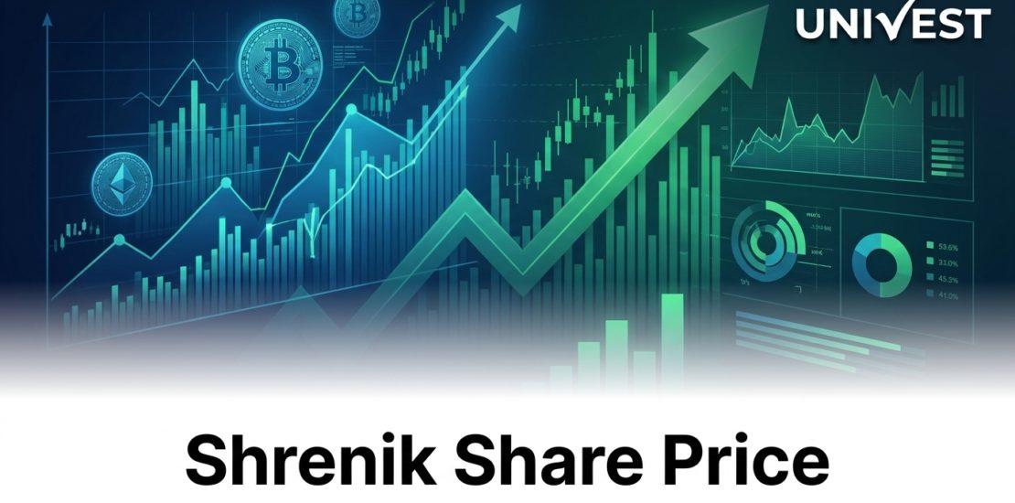 Why Is Shrenik Share Price Falling