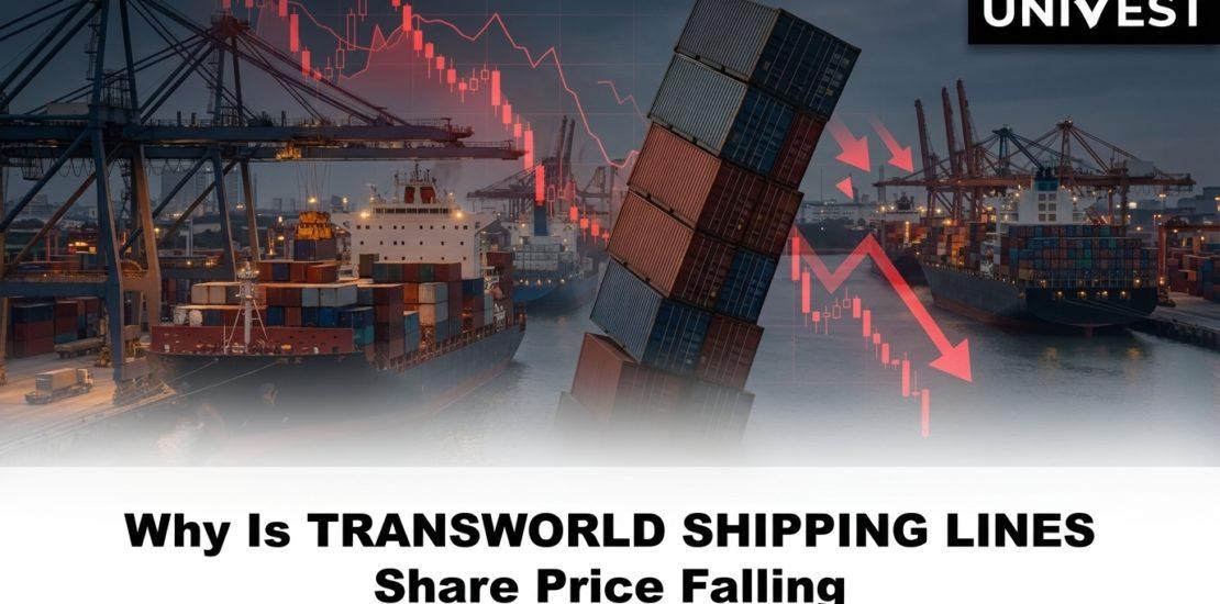 Why Is TRANSWORLD SHIPPING LINES Share Price Falling