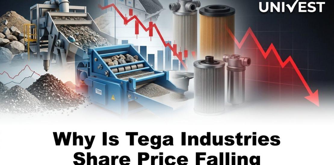 Why Is Tega Industries Share Price Falling