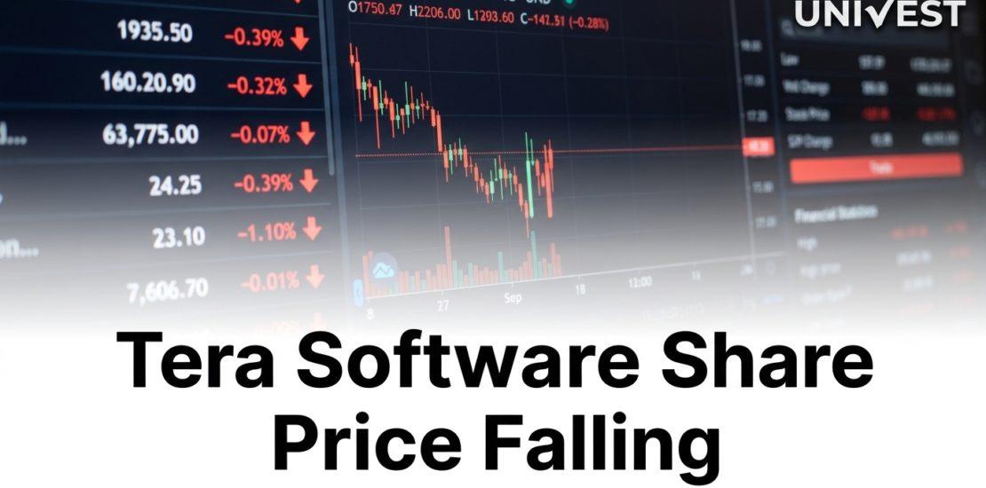 Why Is Tera Software Share Price Falling
