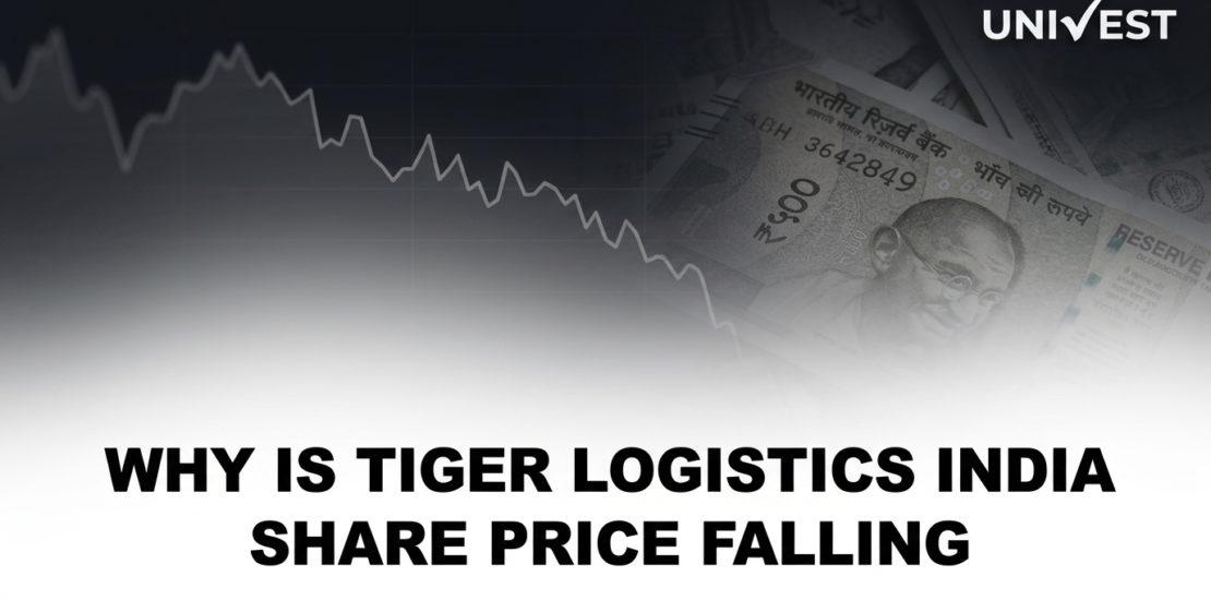 Why Is Tiger Logistics India Share Price Falling