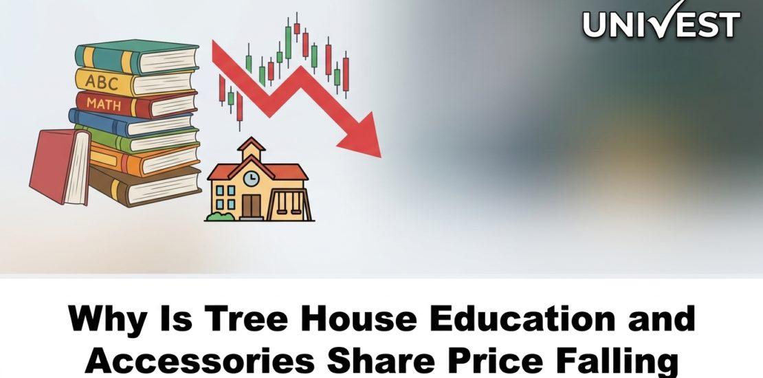 Why Is Tree House Education and Accessories Share Price Falling