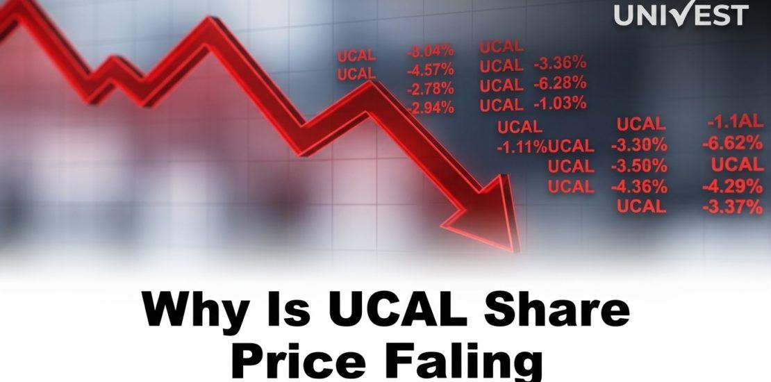 Why Is UCAL Share Price Falling