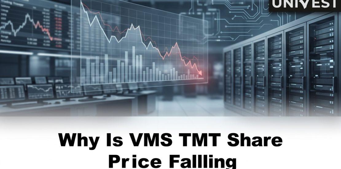 Why Is VMS TMT Share Price Falling