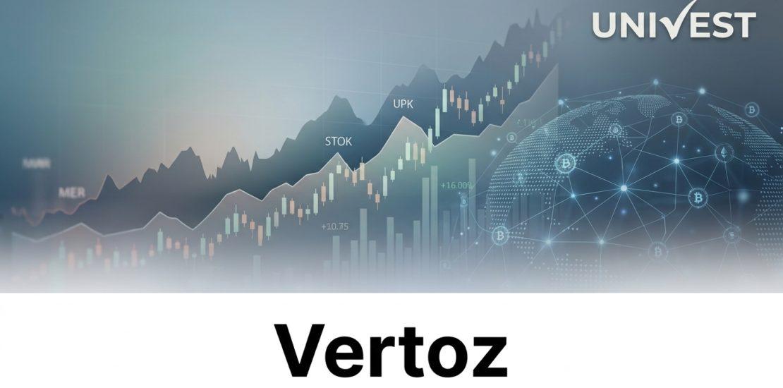 Why Is Vertoz Share Price Falling