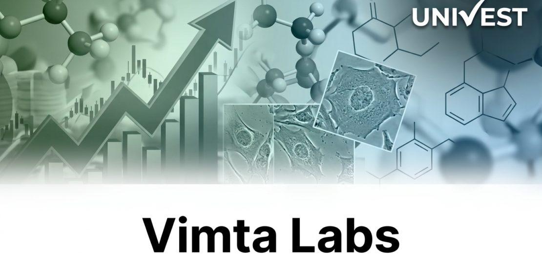 Why Is Vimta Labs Share Price Falling