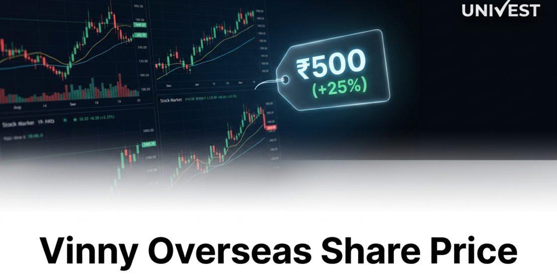 Why Is Vinny Overseas Share Price Falling