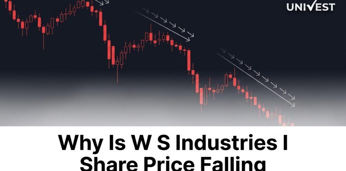 Why Is W S Industries I Share Price Falling