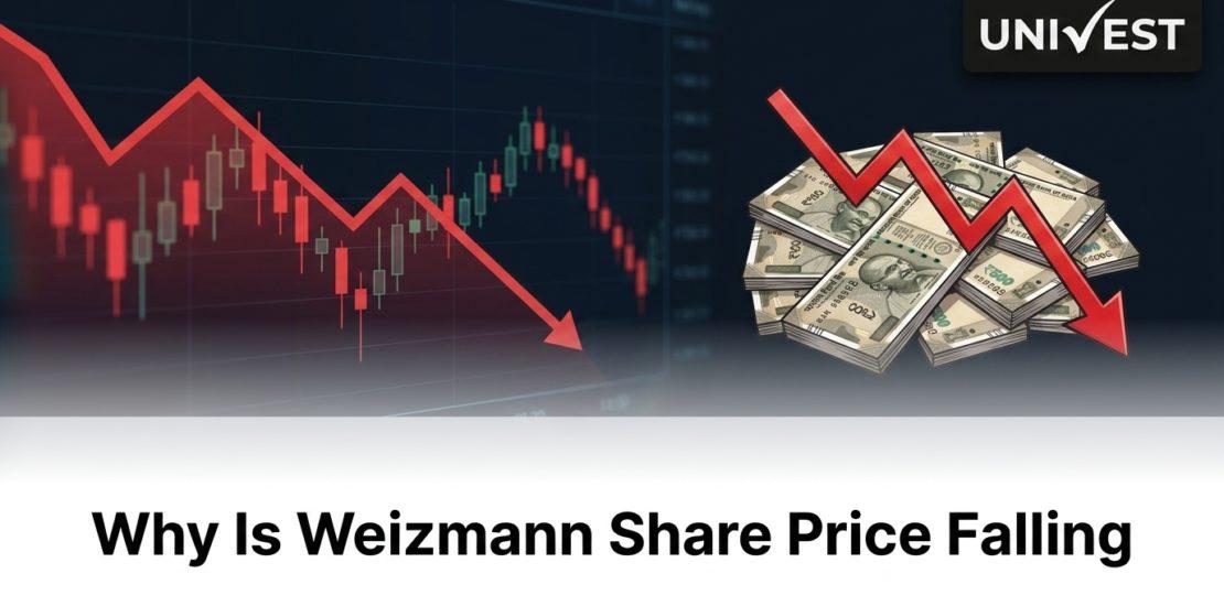 Why Is Weizmann Share Price Falling