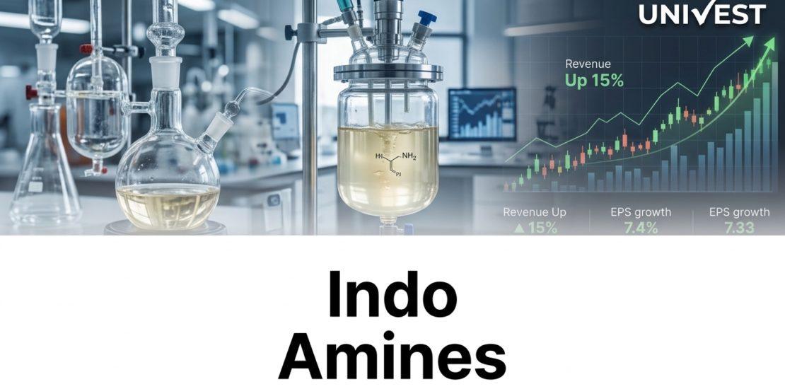 Why Is Indo Amines Share Price Falling