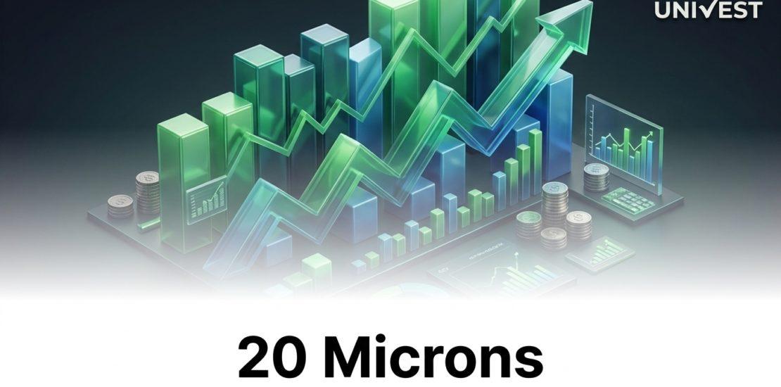 20 Microns Share Price
