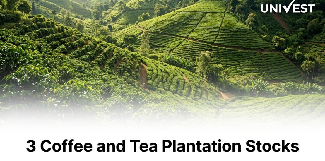 3 Coffee and Tea Plantation Stocks