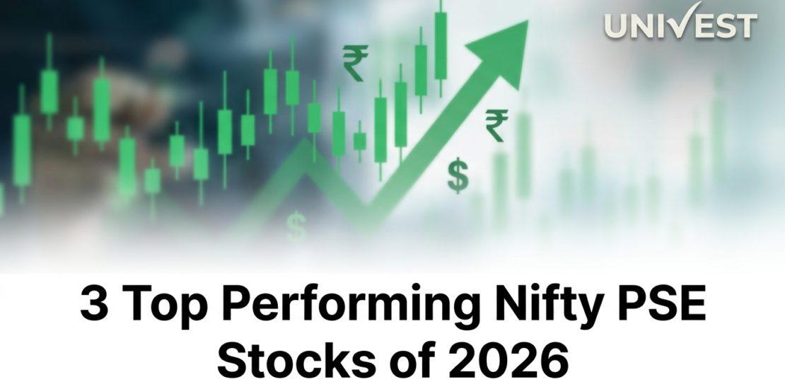 3 Top Performing Nifty PSE Stocks of 2026: