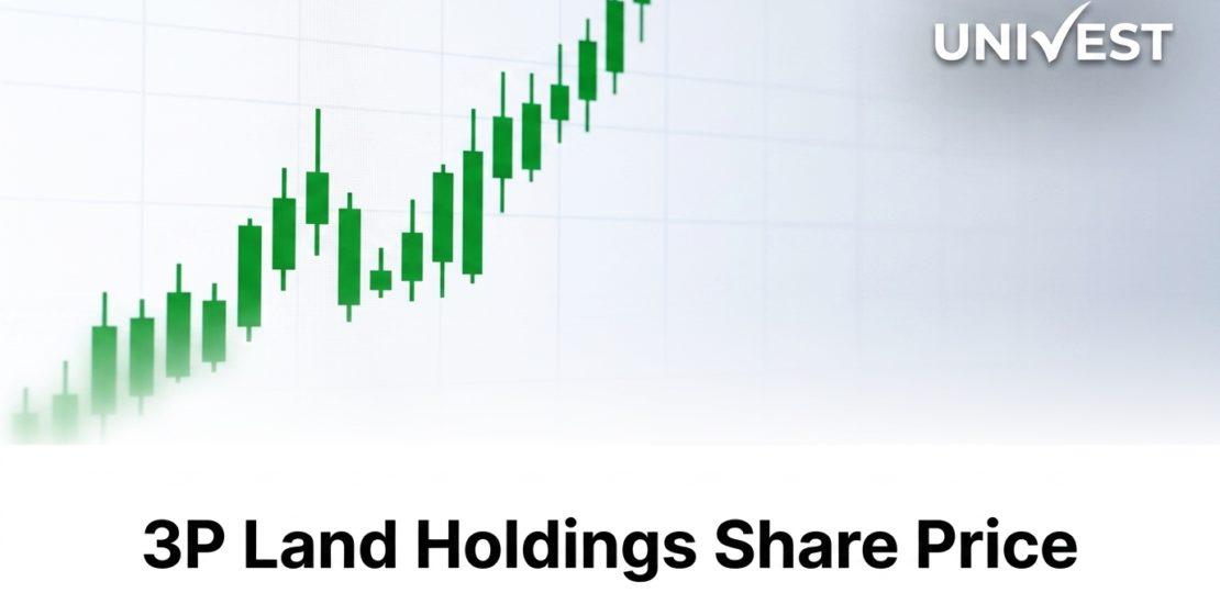 3P Land Holdings Share Price
