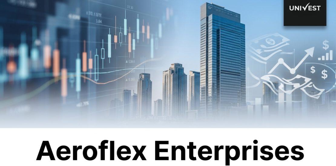 Aeroflex Enterprises Share Price: What Could the Next 3 Years Look Like?