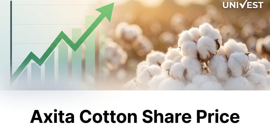 Axita Cotton Share Price