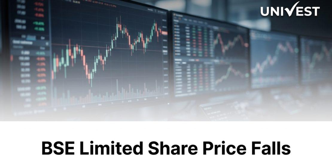 BSE Limited Share Price Falls
