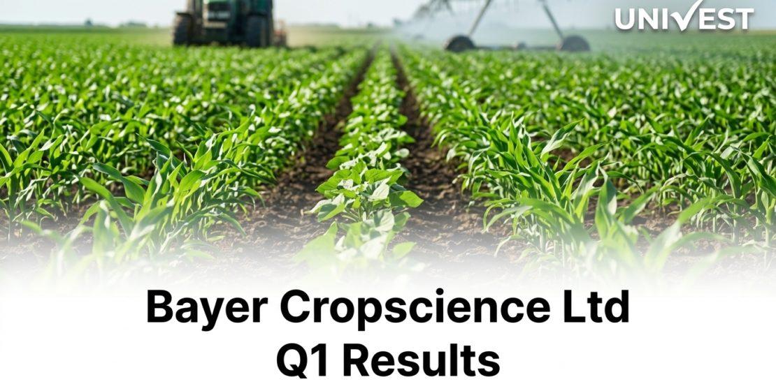 Bayer Cropscience Ltd Q1 Results